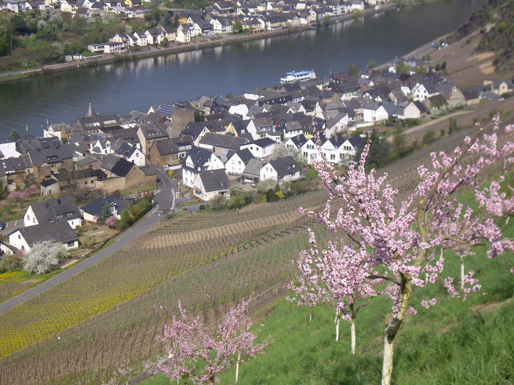 Winzerhof Brachtendorf Alken Exterior foto