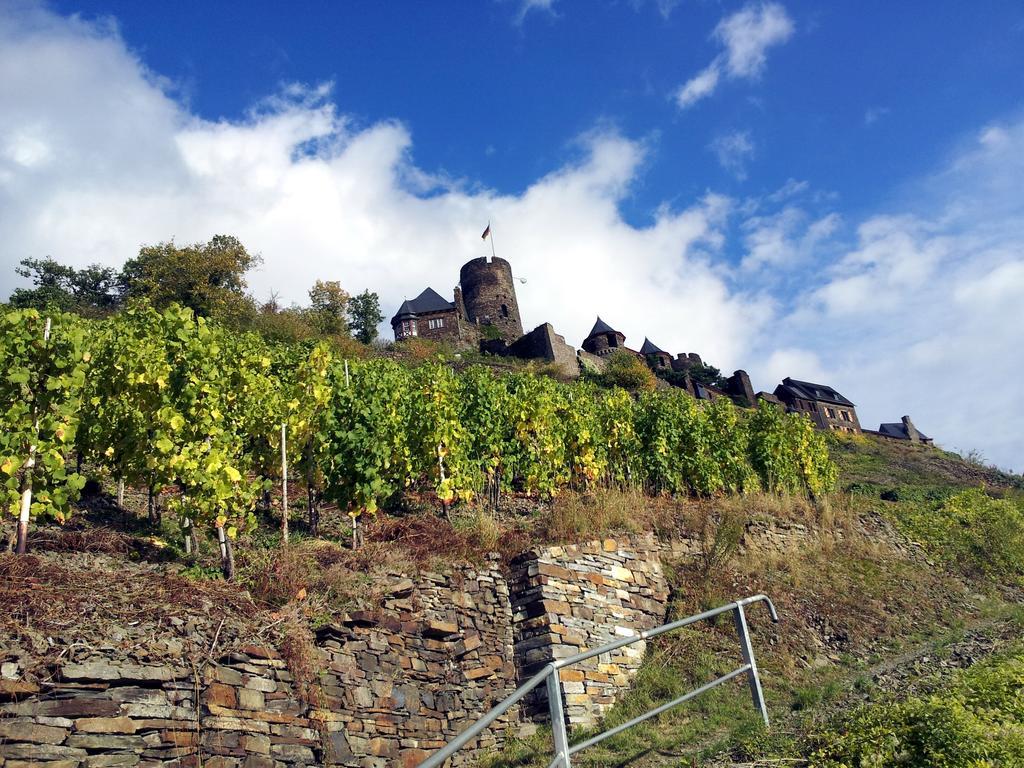 Winzerhof Brachtendorf Alken Exterior foto
